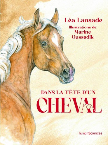 Dans la tête d'un cheval